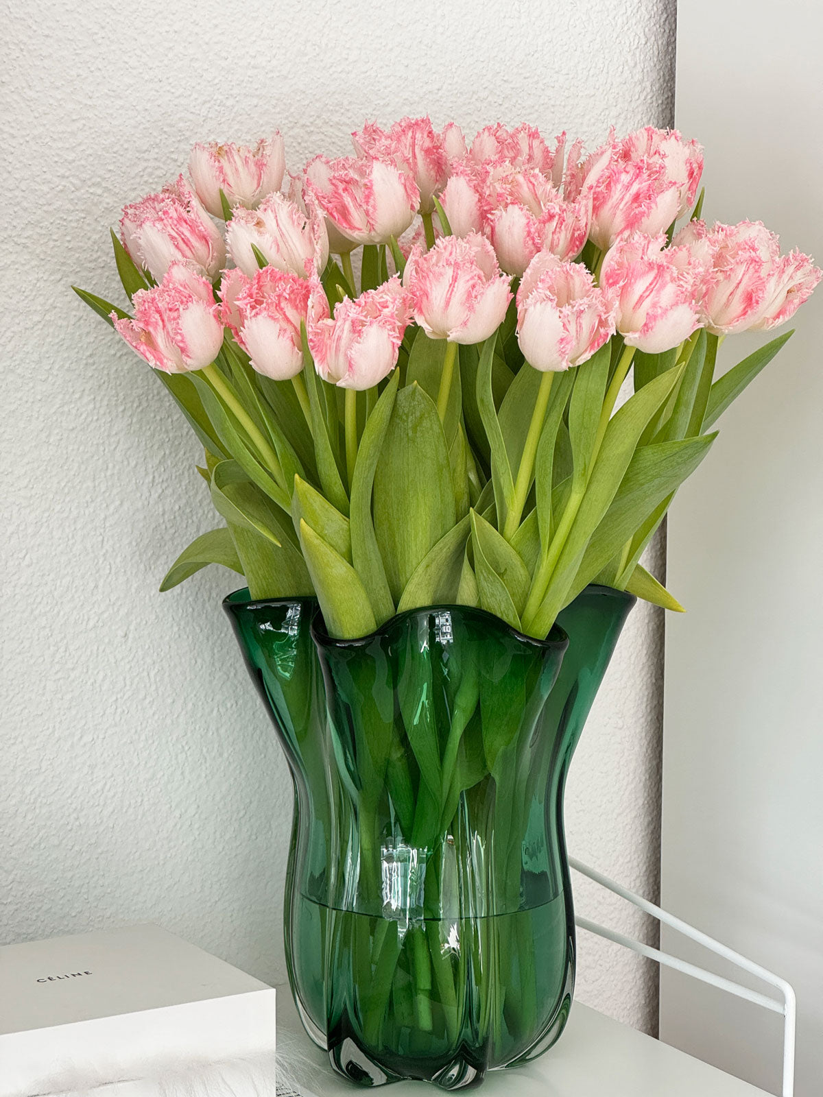 Tulpen frosty pink